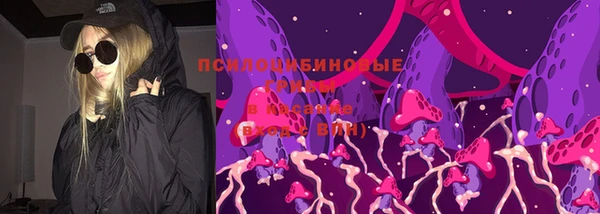 шишки Нефтегорск