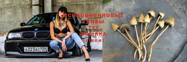 кокаин Новодвинск