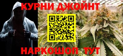 прущие крисы Гатчина