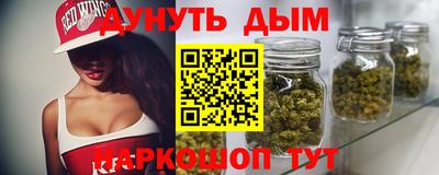 прущие крисы Гатчина