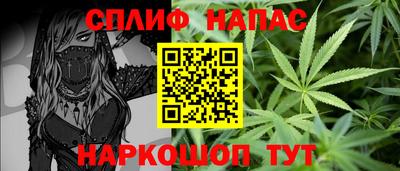 прущие крисы Гатчина